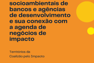 Iniciativas socioambientais de bancos e agências de desenvolvimento e sua conexão com a agenda de negócios de impacto