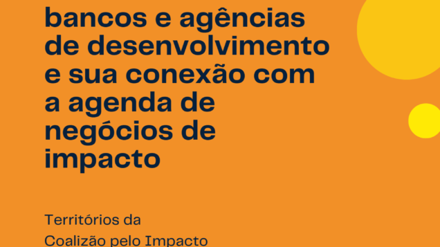 Iniciativas socioambientais de bancos e agências de desenvolvimento e sua conexão com a agenda de negócios de impacto