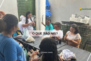 Negócios de impacto socioambiental: soluções com propósito