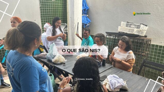 Negócios de impacto socioambiental: soluções com propósito