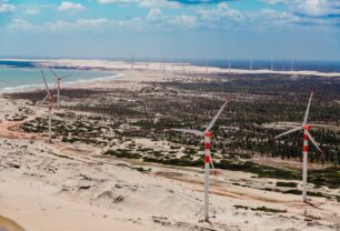 Casa dos Ventos abre edital com apoio de até R$ 50 mil para projetos sustentáveis