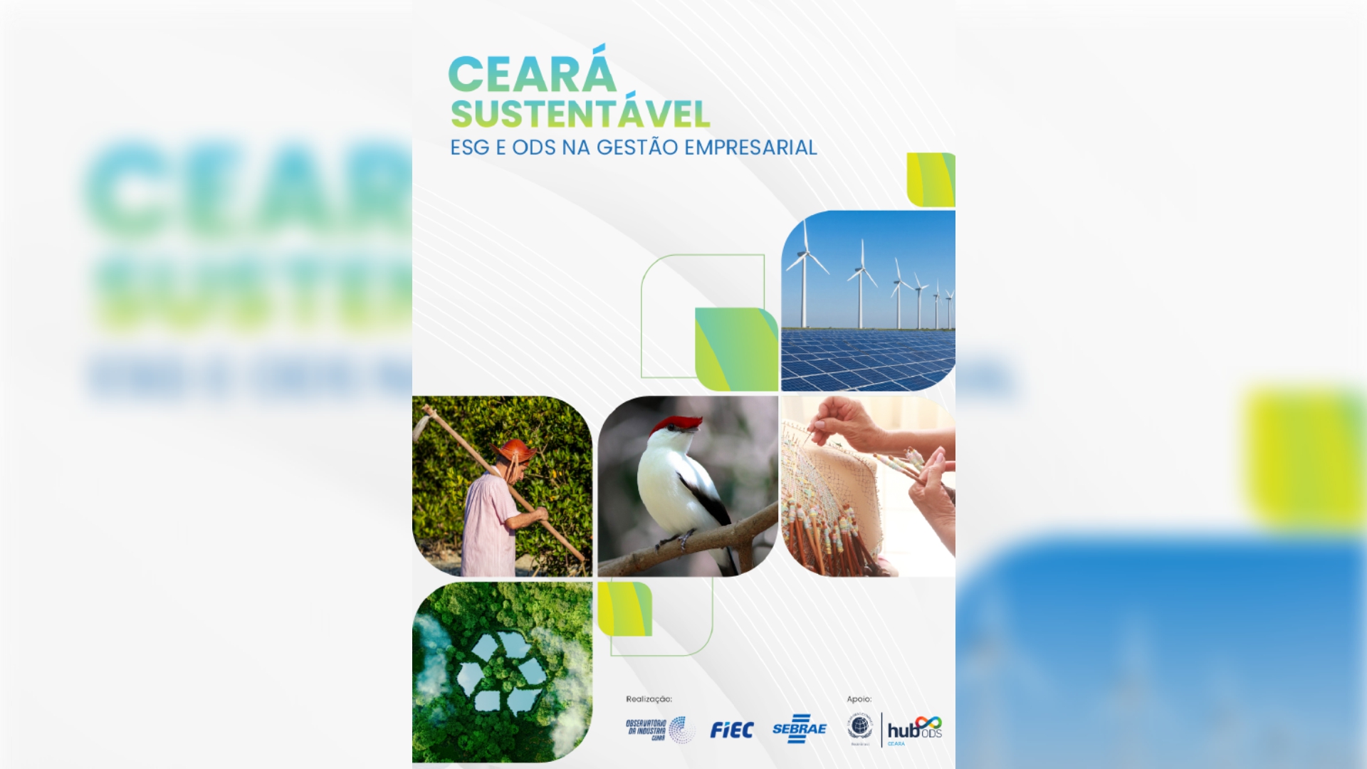 Programa Ceará Sustentável Abre Inscrições para Consultorias Gratuitas em ESG e Economia Circular
