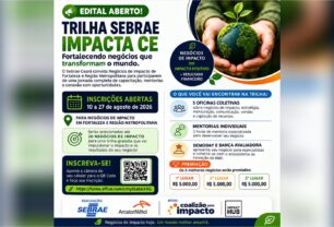 Sebrae e ArcelorMittal abrem inscrições para trilha de desenvolvimento de negócios de impacto em Fortaleza